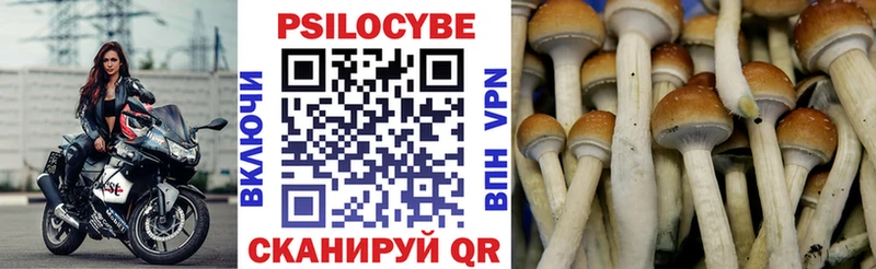 Псилоцибиновые грибы прущие грибы  закладки  Ленск 